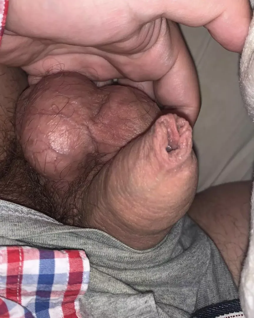 British Bear Balls