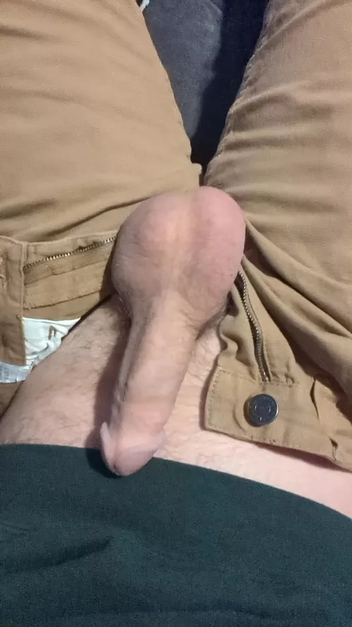 Bull Balls?