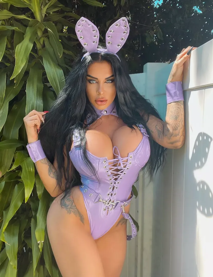 Bunnies are HOT