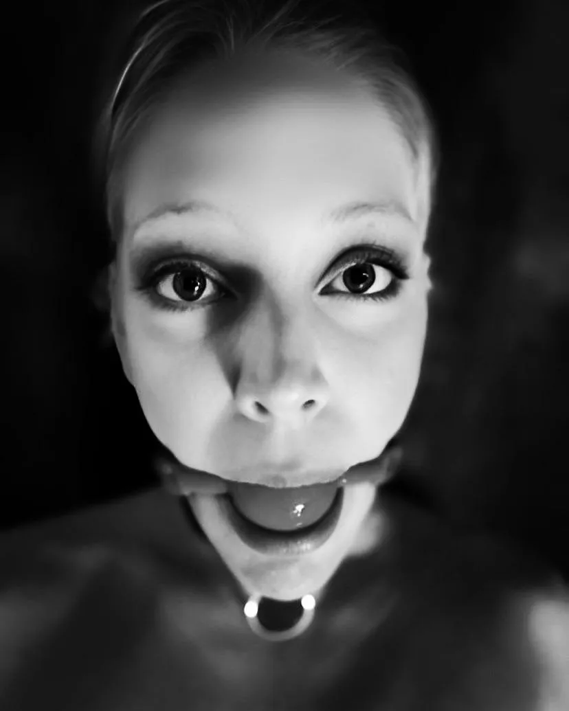 Bunny 