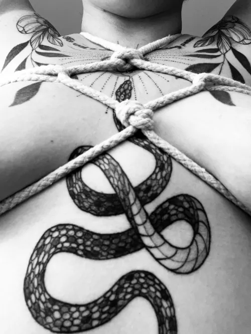 Bunny and rigger