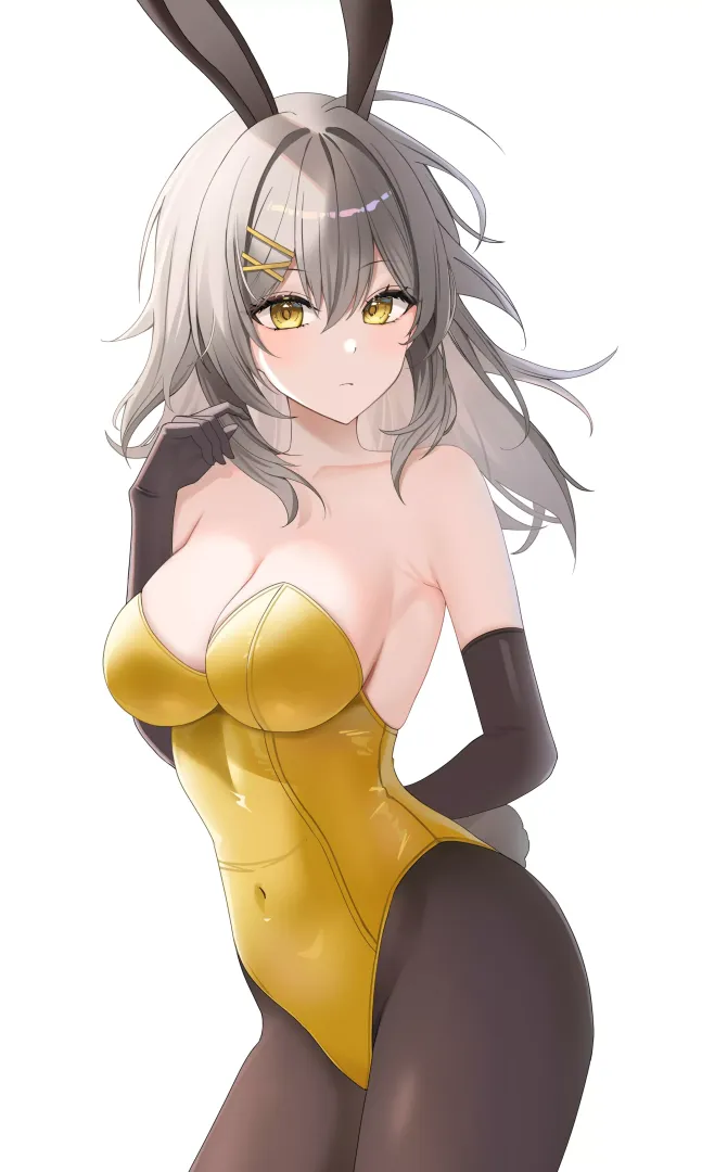 Bunny Stelle [Honkai Star Rail]