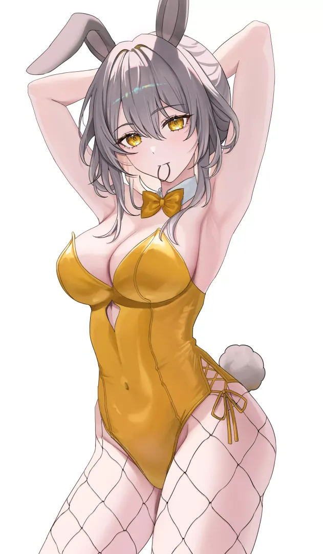 Bunny Stelle [Honkai Star Rail]