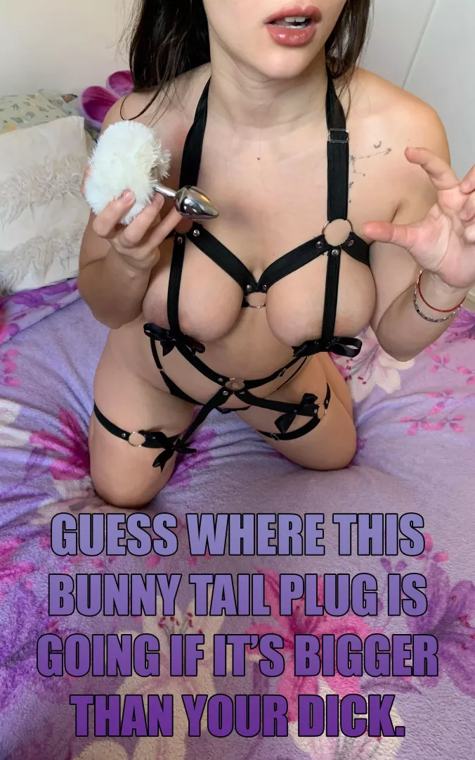 Bunny Tail