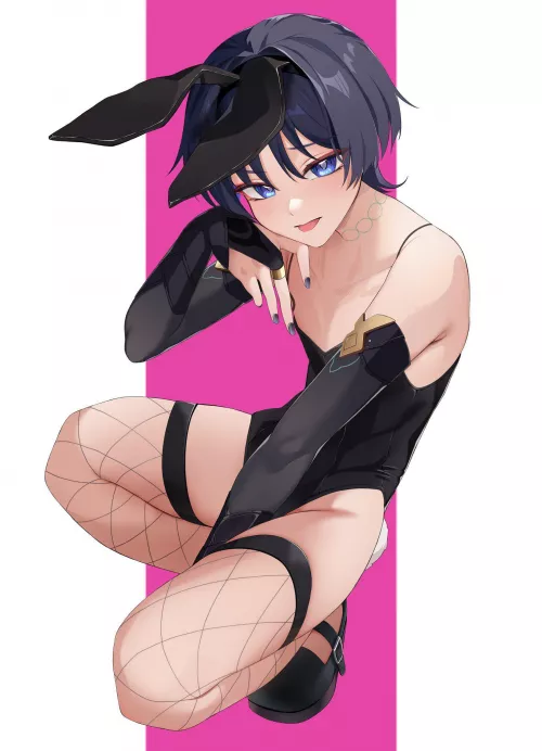 Bunny Wanderer