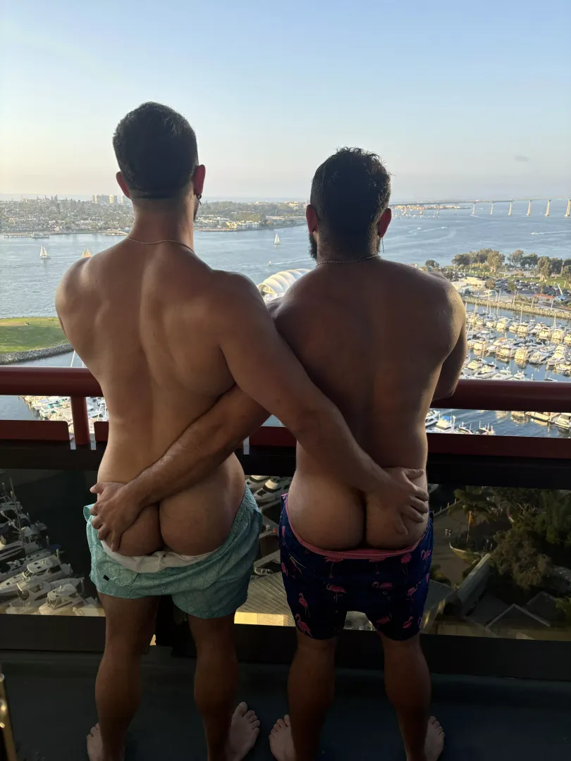 Buns to buns 