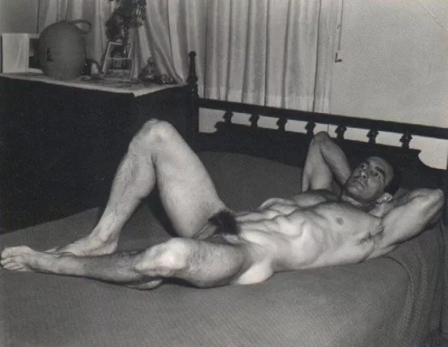 “Bush” …