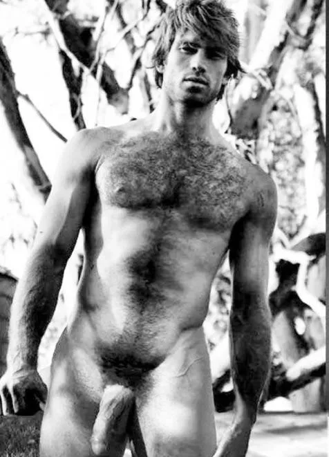 “Bush”