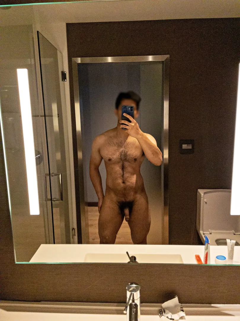 Bush in the mirror