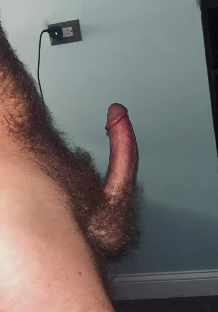 Bush is best