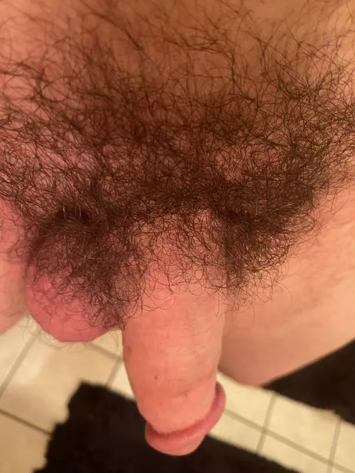 Bush is the way to go (31)