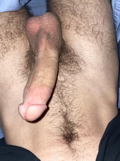 Bush update