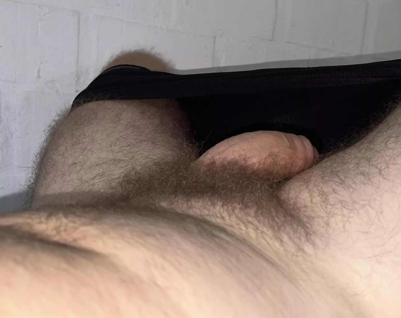 Bushy
