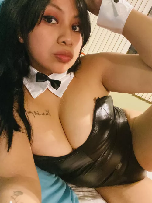 Busty latina bunny 😇🐰