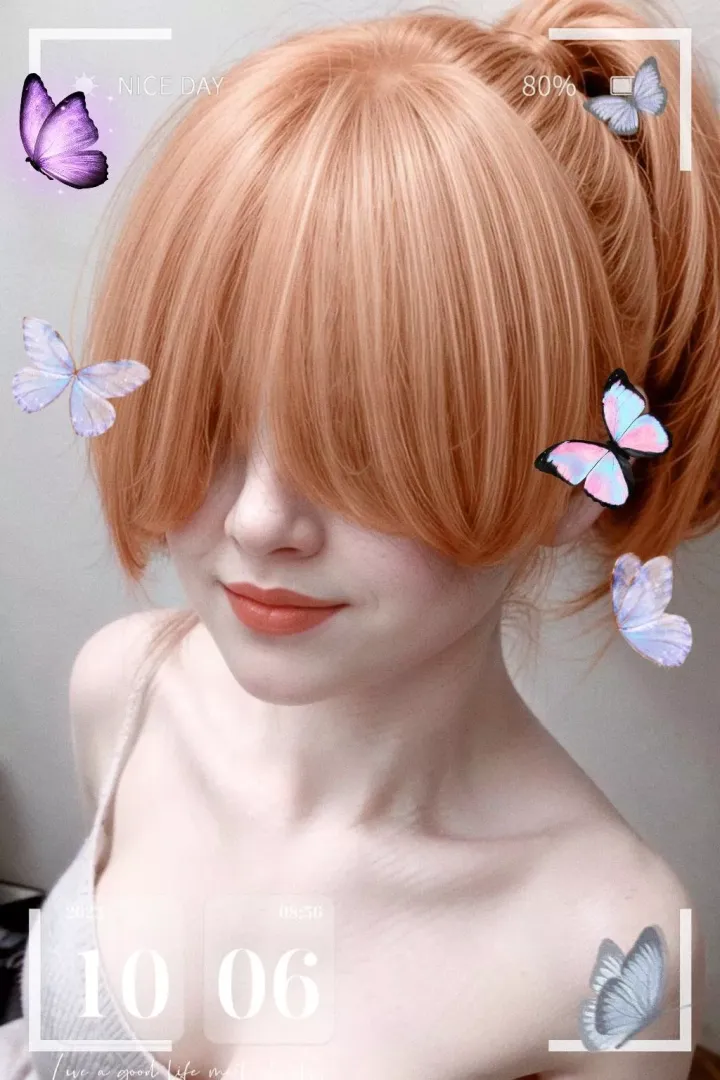 butterfly orange