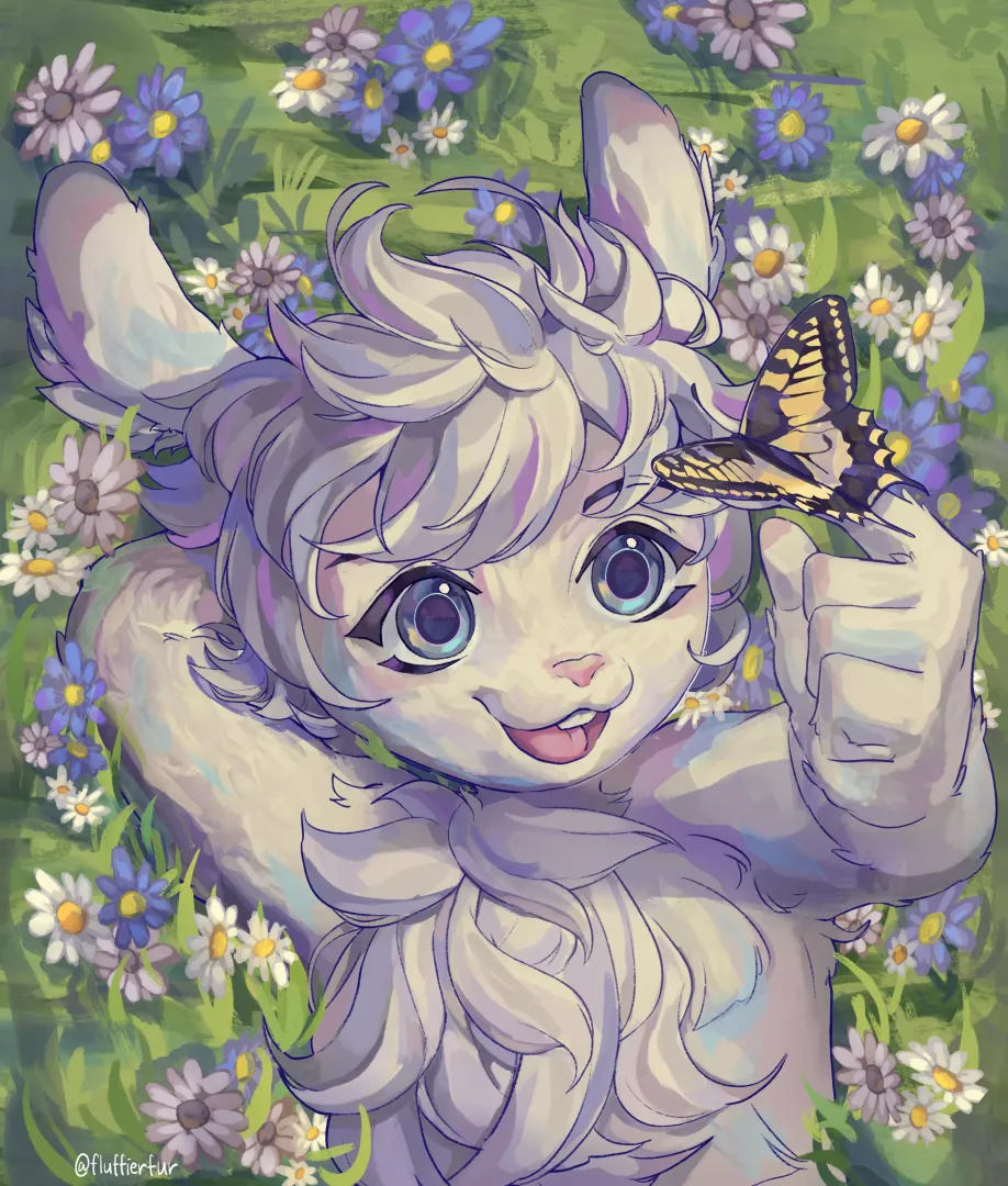 Butterfly (u/dandelionofluff)