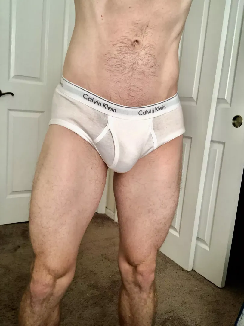 Calvin briefs. What do you think?