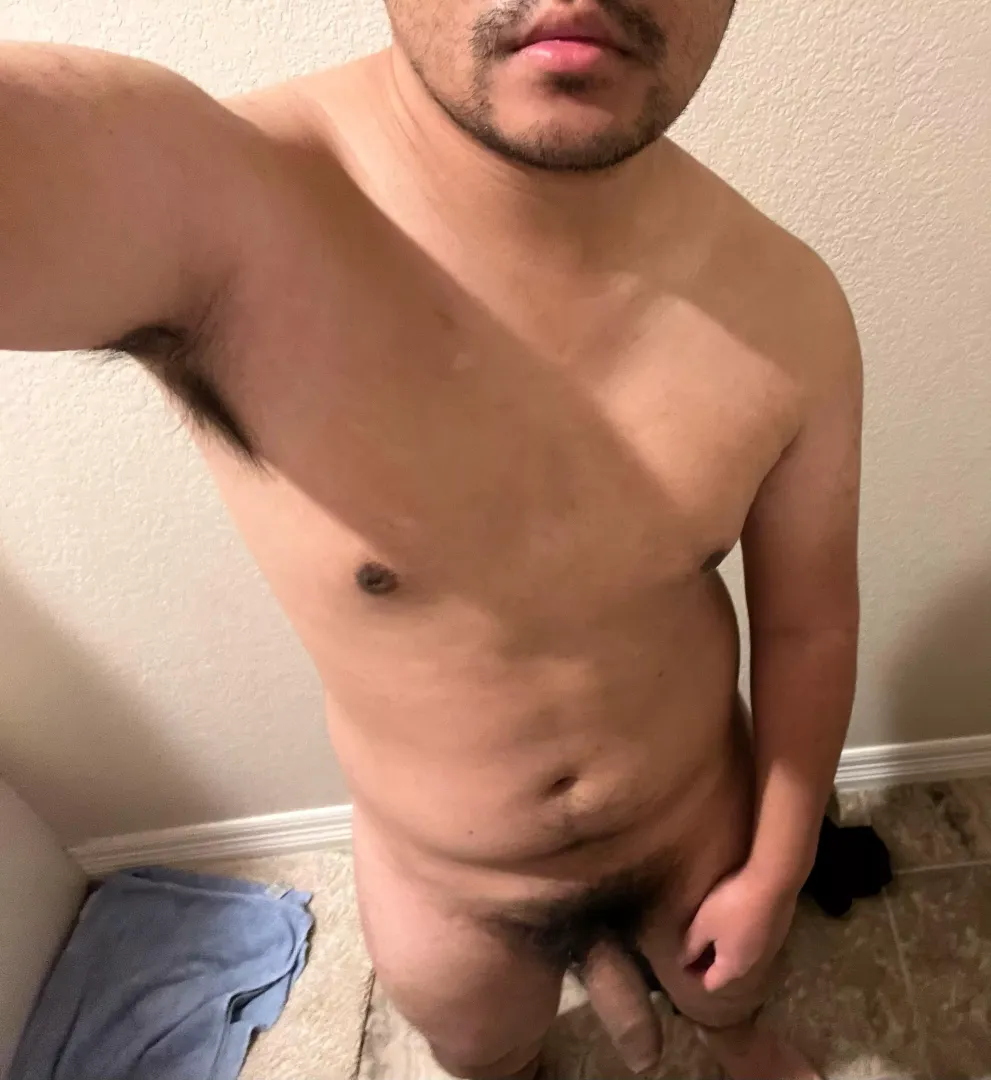 Cambodian cock