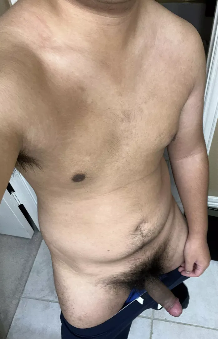 Cambodian cock