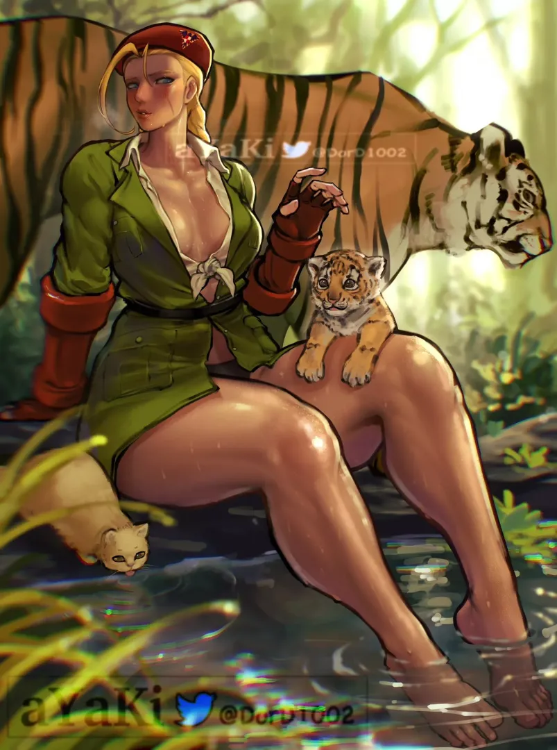 Cammy [Artist: Ayaki]
