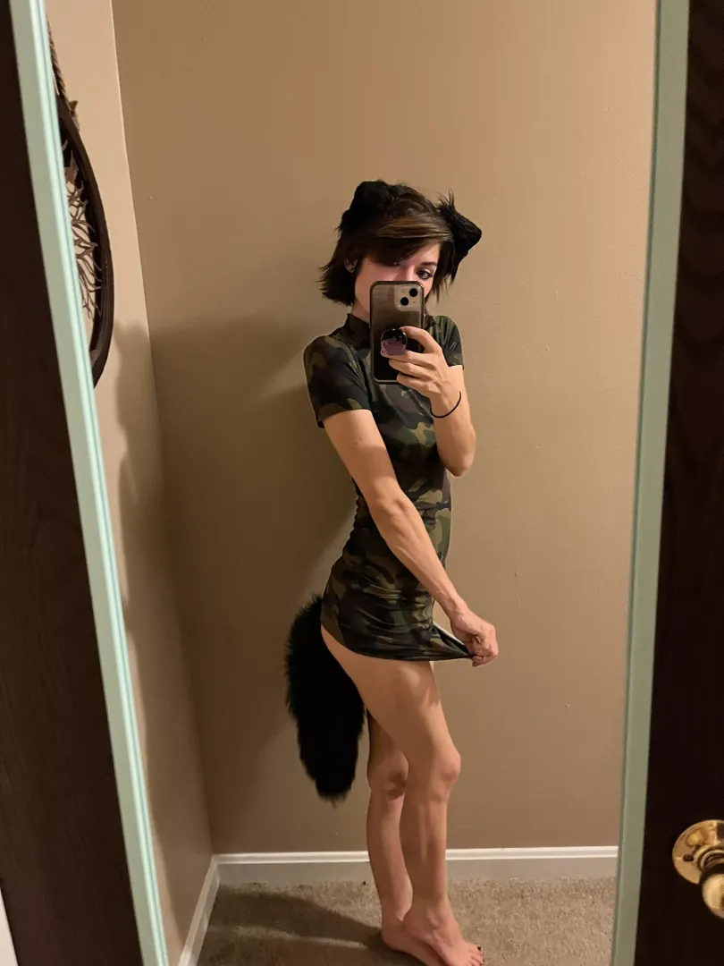camo dress kitty😍