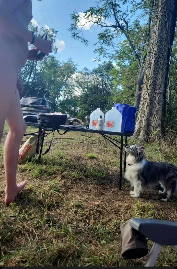 Camping with the dog. From the last camping trip of the warm weather.