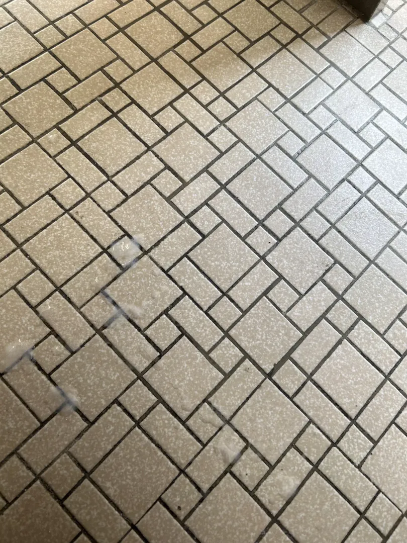 Campus cum