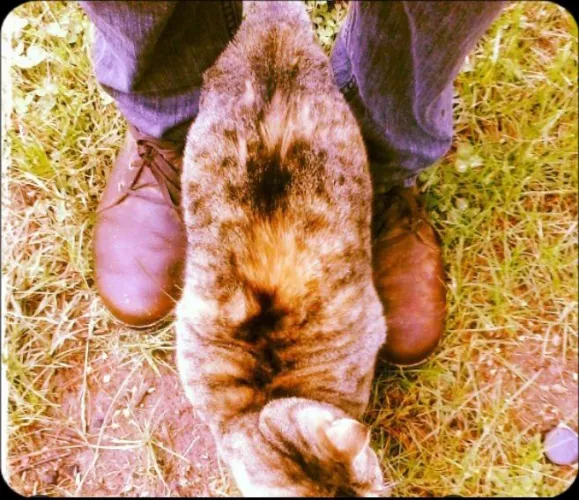 Can anyone help my identify what boot this is?