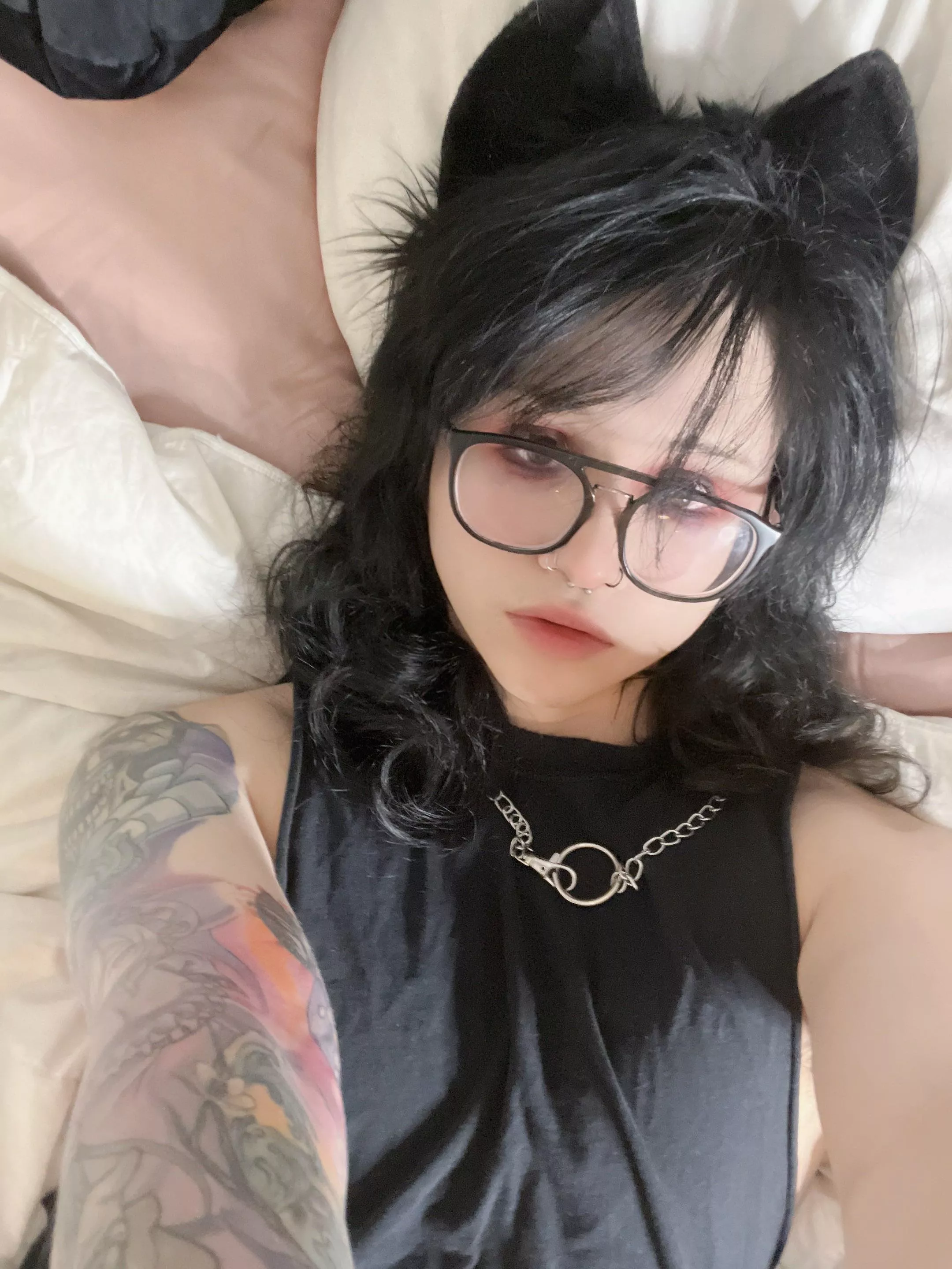 Can I be ur favorite Kitten? 🐱