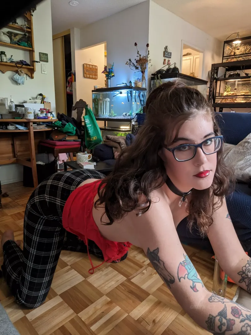 Can I distract you from your game?