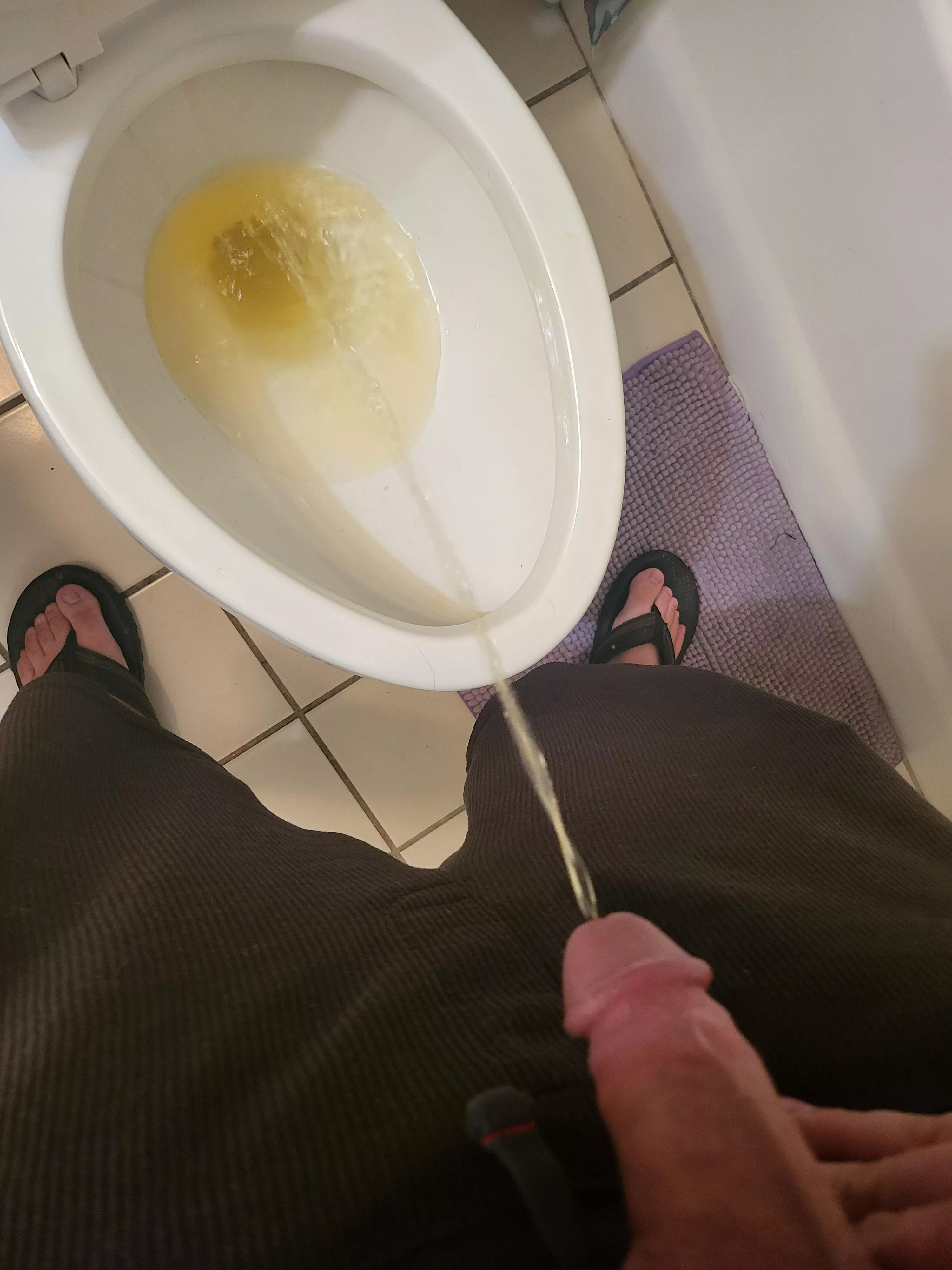 Can i have a human toilet?