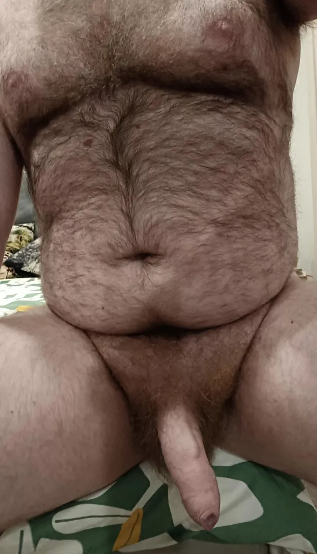 Can I interest you in some Aussie cock