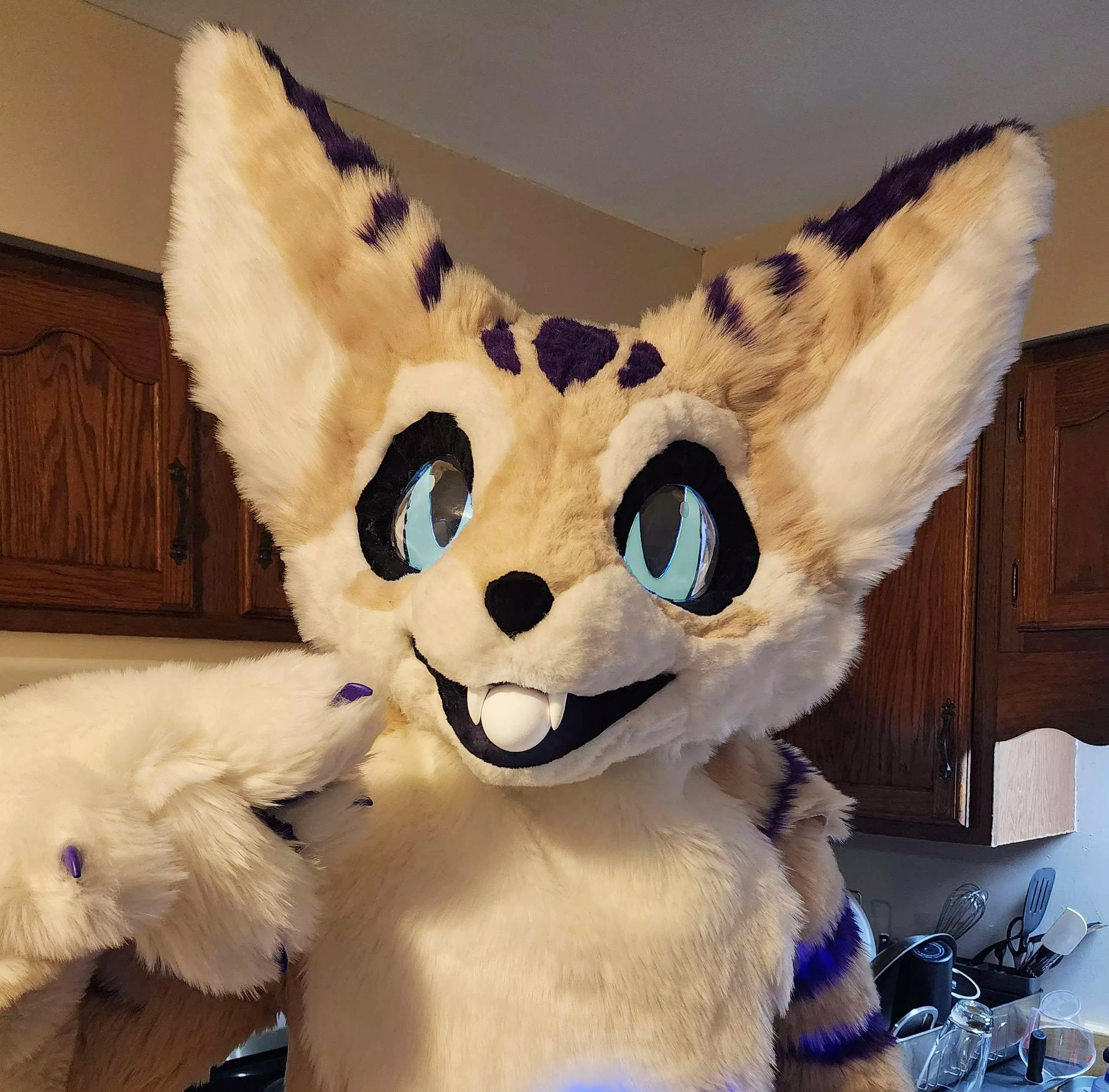 Can I offer you an egg in these trying times?