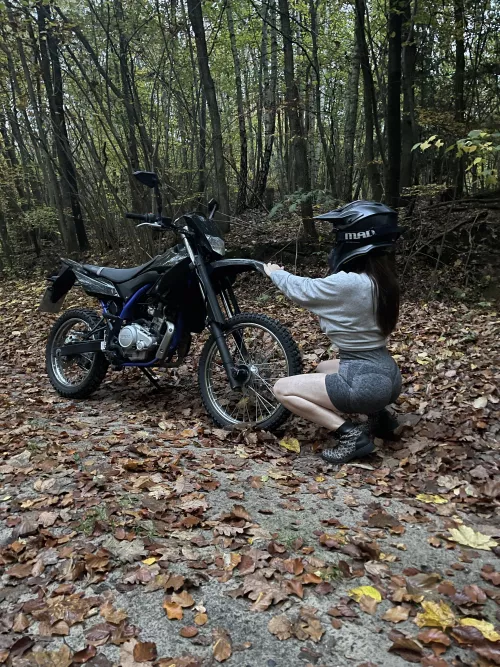 Can I shake my ass for you