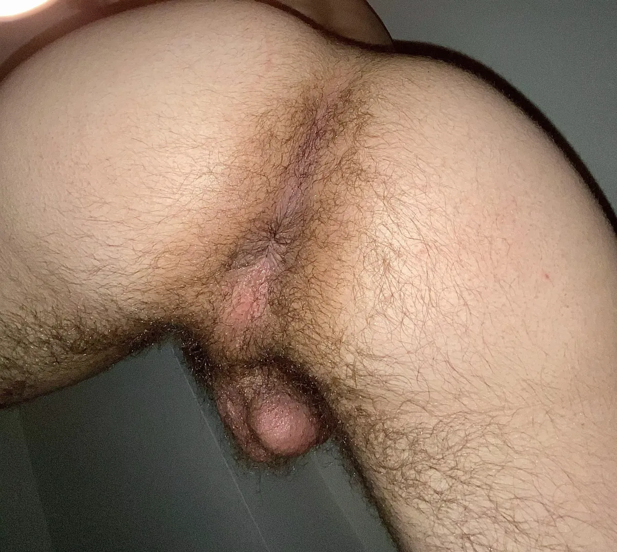 can i sit on your face? dms open