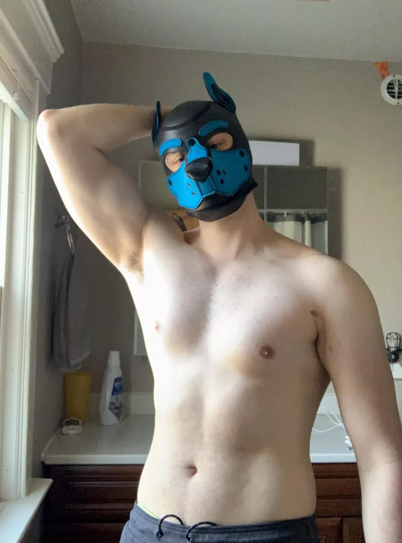 Can someone play with me? I’m bored.
