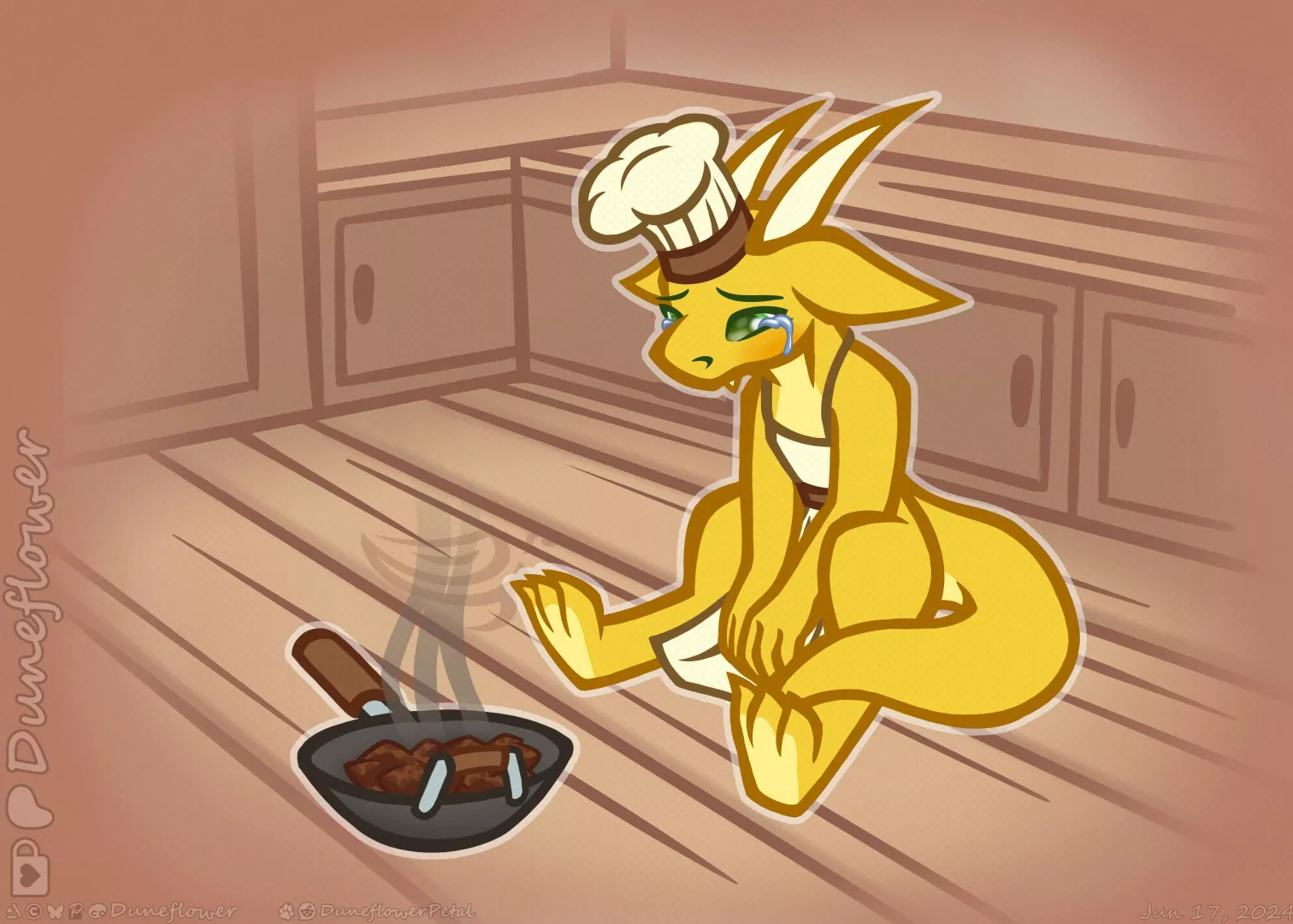Can’t cook