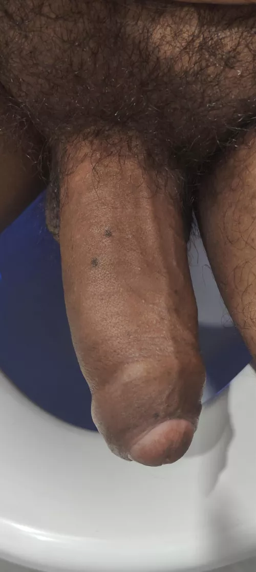 Can't keep him down today 🤤 #uncut #hairy #bear #chub #daddy