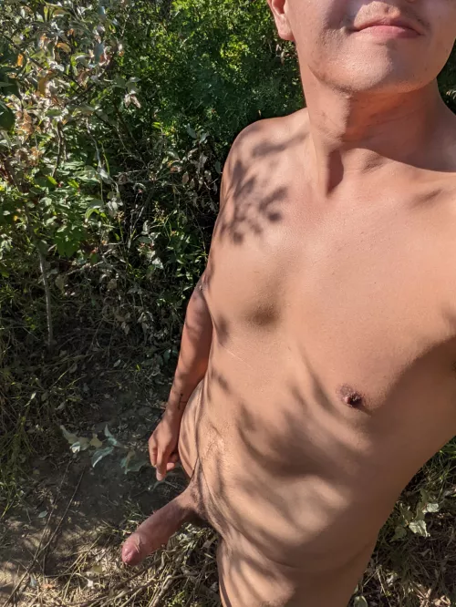 Can't wait to cruise the bushes again