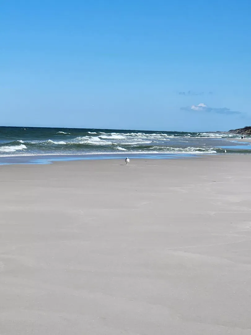 Cape Cod
