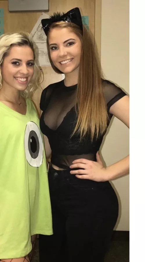 Cat ears irtr
