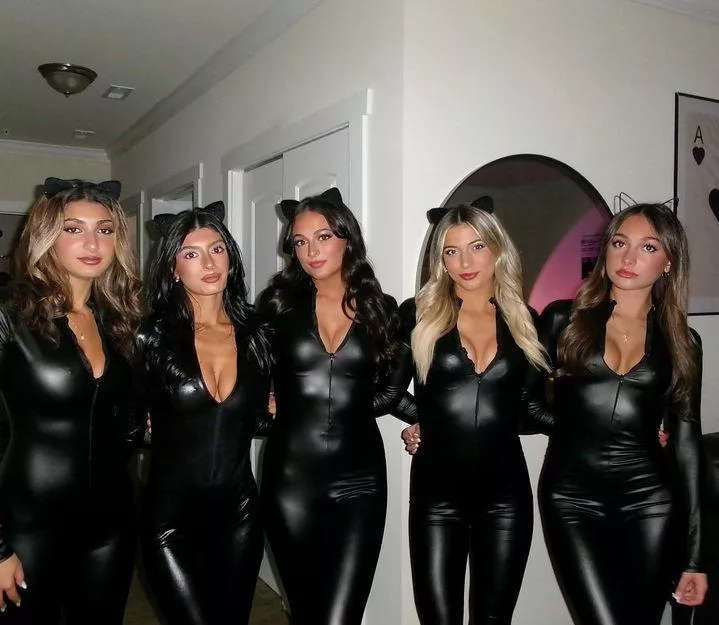 Cat Girls 🖤🐱