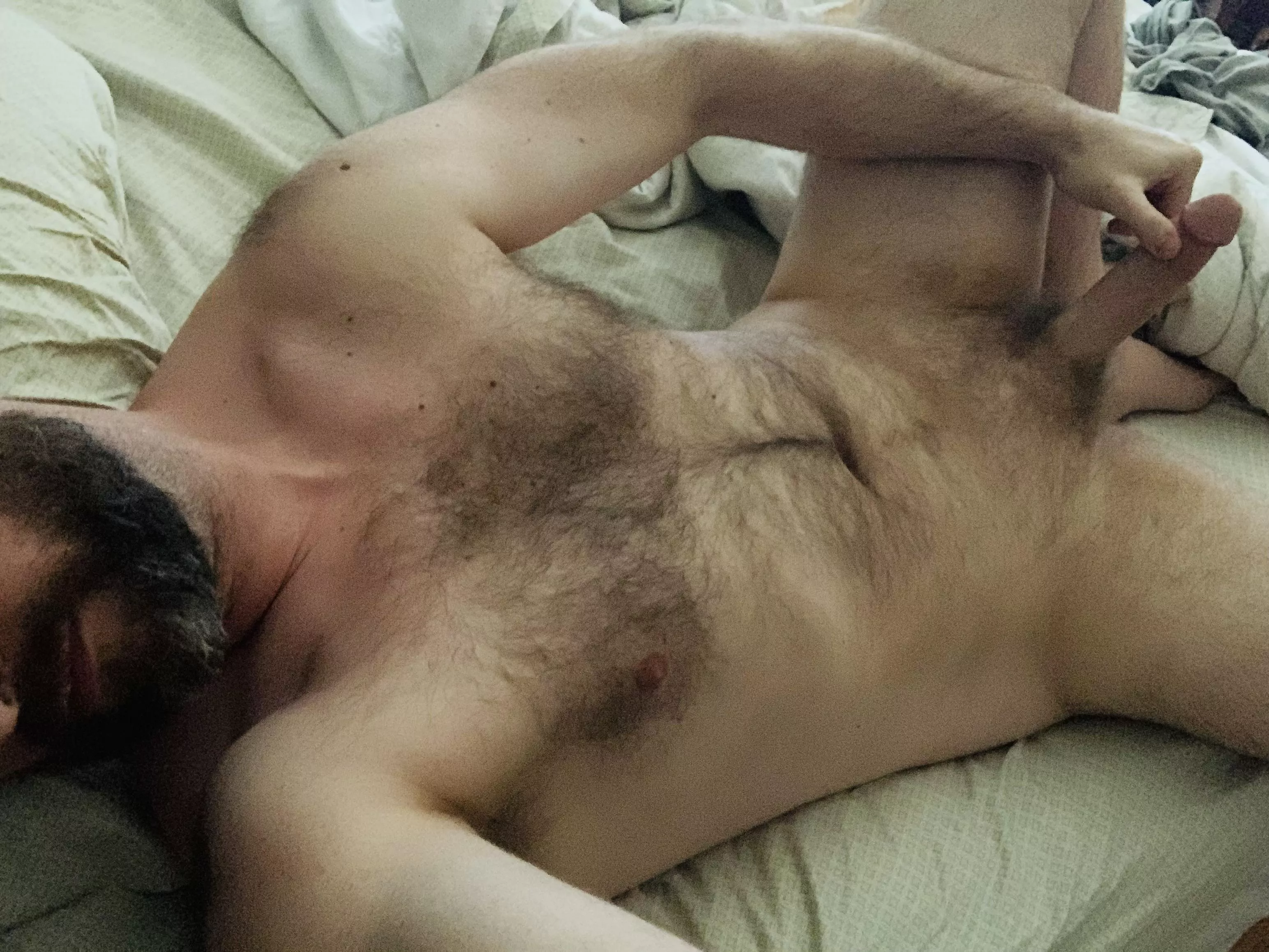 Cat moved out of the picture just before I took it, thus ruining what would have been a devastatingly clever pussy joke 😢