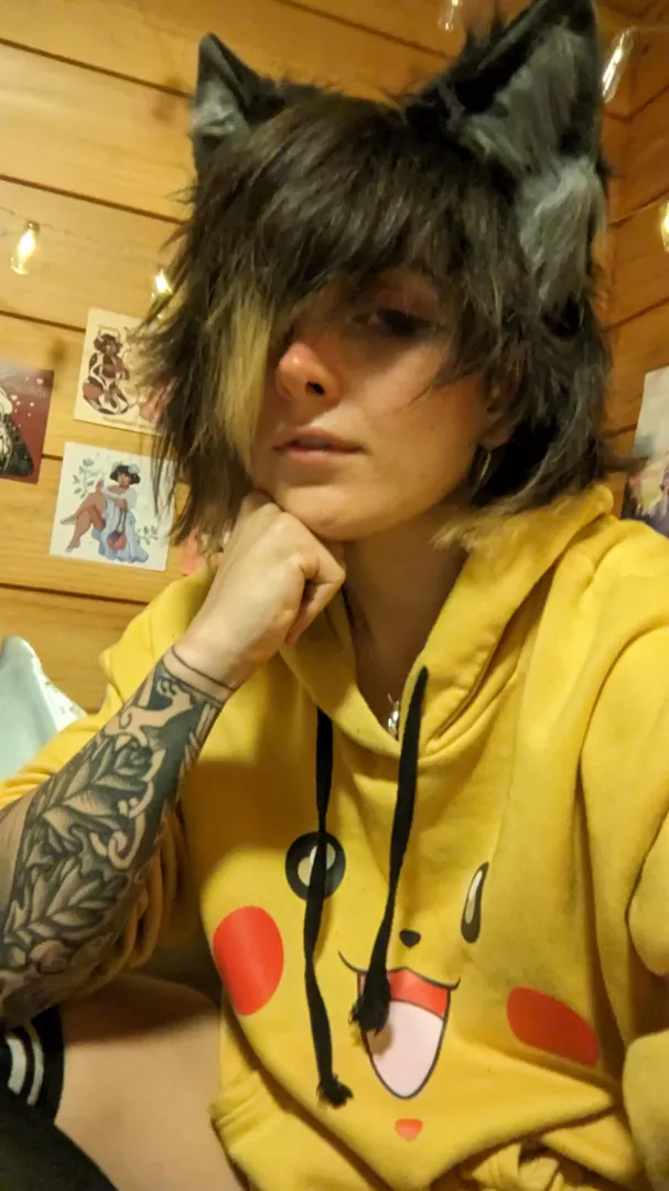Catguy