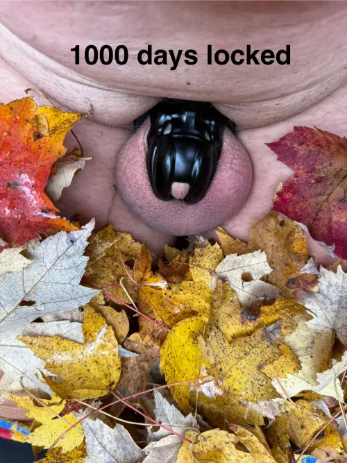 Celebrating 1,000 locked days 
