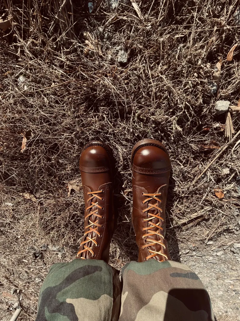 Check out my brand new Corcorans