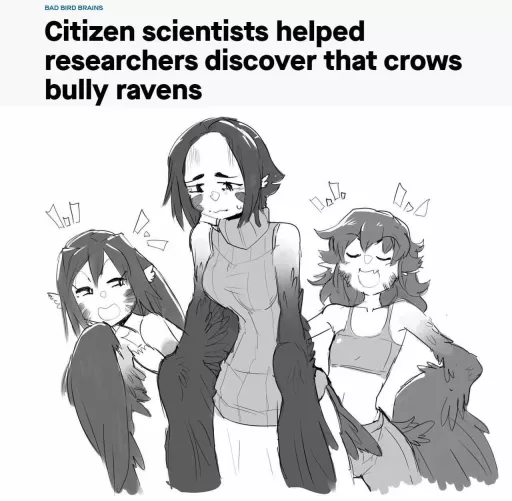 Cheeky crows! Need bird correction...! 💢