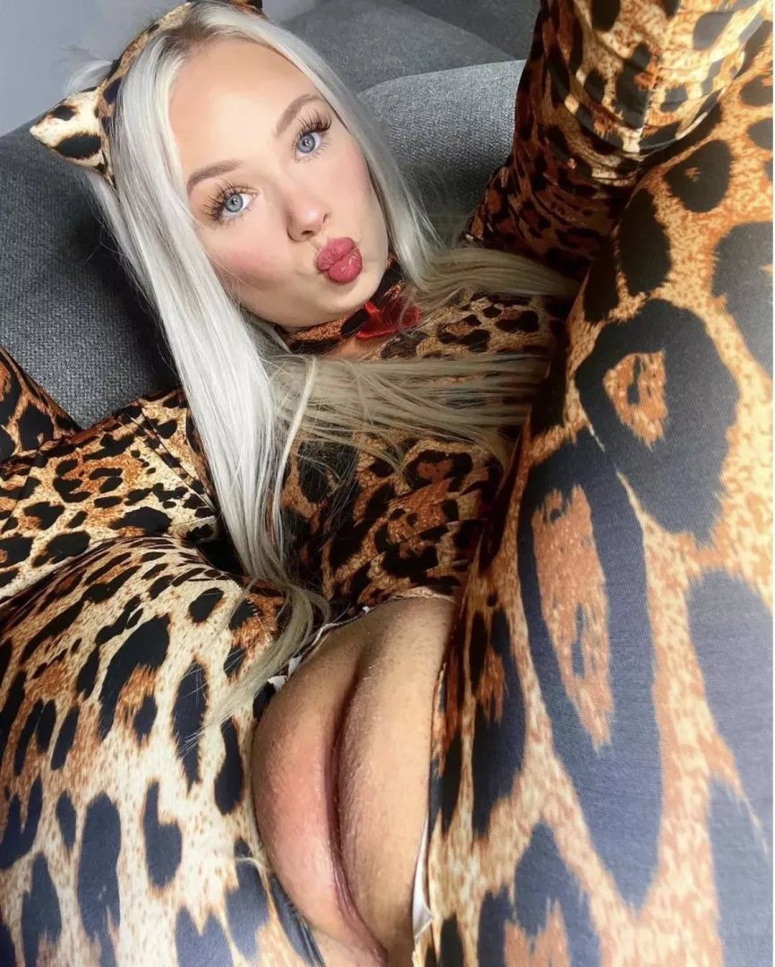 Cheetah