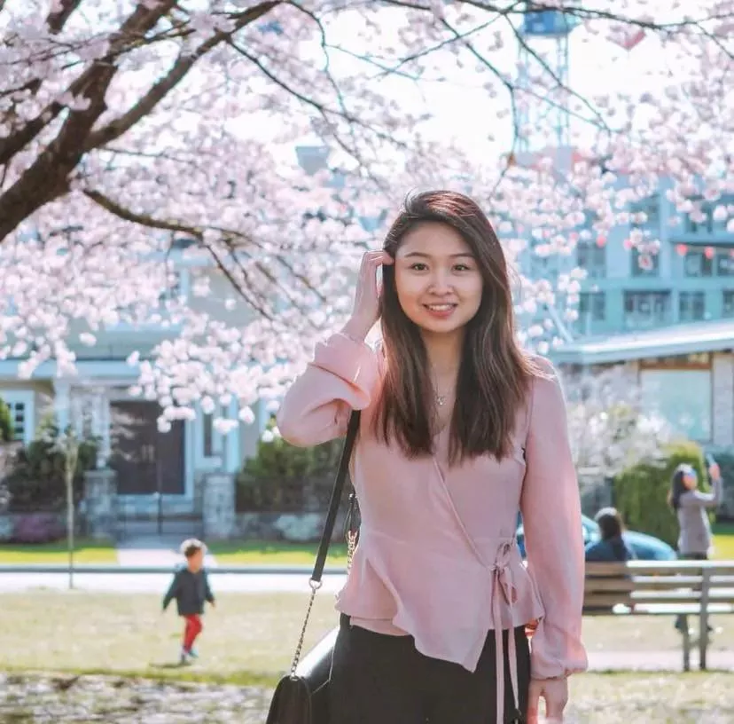 Cherry blossoms