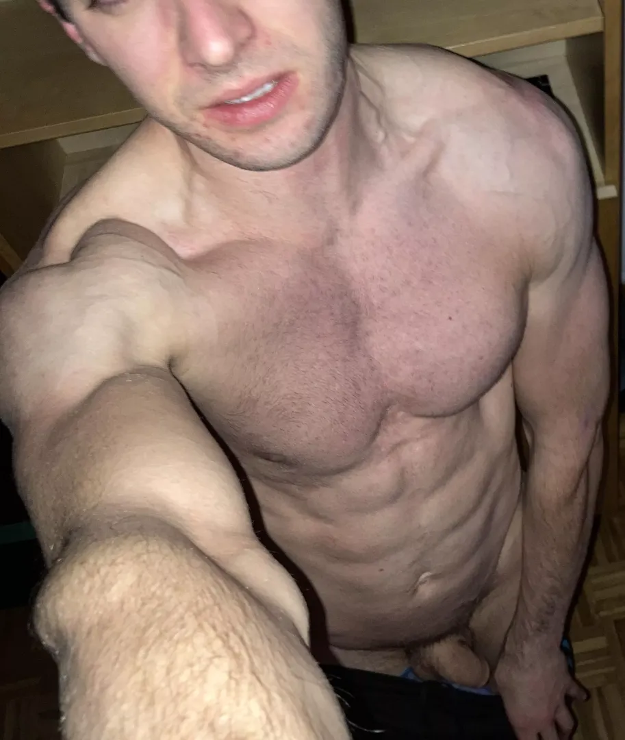 Chest day [M]